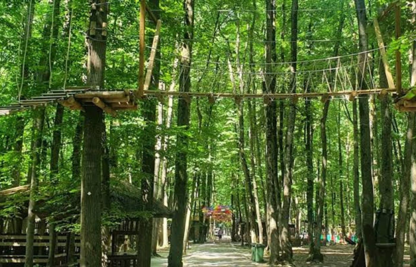 De ce să petreci o zi cu copilul într-un parc de aventură?